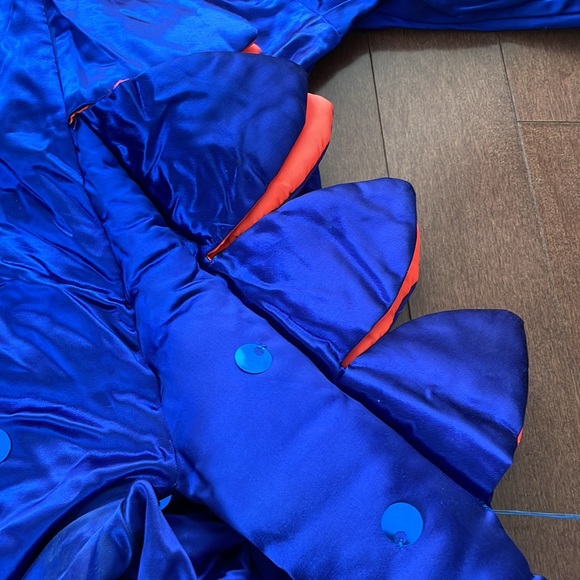 Dinosaur Costume - Picture 7 of 10